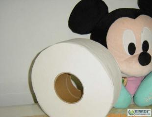 卫生纸热销深圳大盘纸卫生纸小盘纸_擦手纸_面巾抽纸_纸业_世界工厂网中国产品信息库