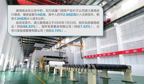 晨鸣纸业拟引进战投 对子公司增资4亿欲降负债率