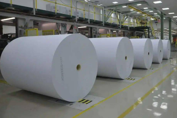 河北保定十大纸业