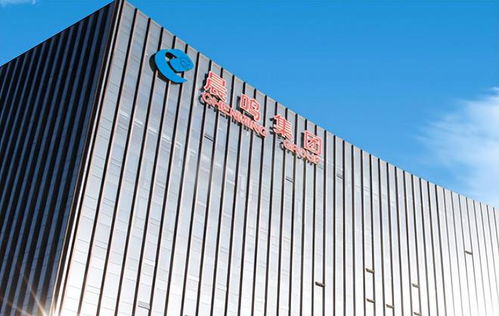 负债率达72 ,上市以来首次预亏12亿