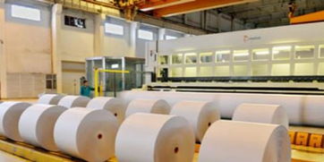 晨鸣纸业已发10亿人币超短融 手机新浪网