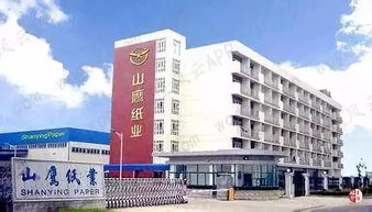 造纸大亨山鹰纸业 十年营收暴增8倍 背后有何秘密