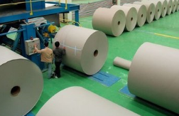 纸业商会在中国纸业发展中的角色与未来展望