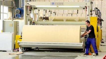 尤溪 精准招商引凤来栖，汇聚纸业发展新动能