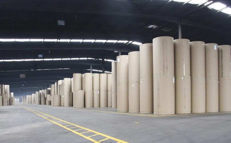 威海龙港纸业 以绿色智能驱动发展，以合规管理筑牢基石