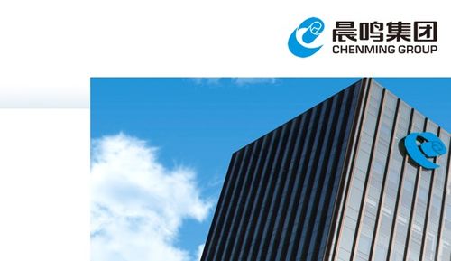 晨鸣纸业子公司获政府补助，行业景气度提升助力绿色转型