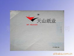 东莞市天山纸业 深耕包装用纸领域，助力绿色未来